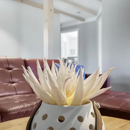 Wilma - Direkt An Der Ostsee Appartamento *